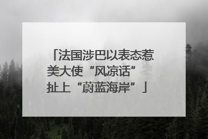 法国涉巴以表态惹美大使“风凉话” 扯上“蔚蓝海岸”