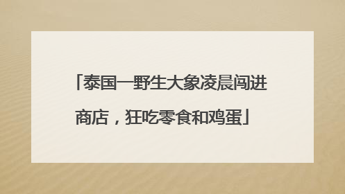 泰国一野生大象凌晨闯进商店，狂吃零食和鸡蛋