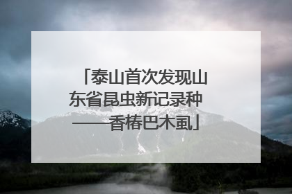 泰山首次发现山东省昆虫新记录种——香椿巴木虱