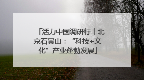 活力中国调研行丨北京石景山：“科技+文化”产业蓬勃发展