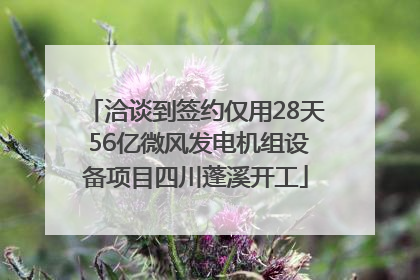 洽谈到签约仅用28天 56亿微风发电机组设备项目四川蓬溪开工
