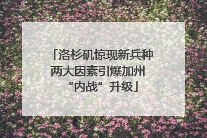 洛杉矶惊现新兵种 两大因素引爆加州“内战”升级
