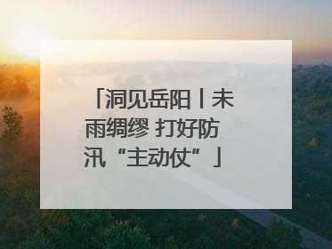 洞见岳阳丨未雨绸缪 打好防汛“主动仗”