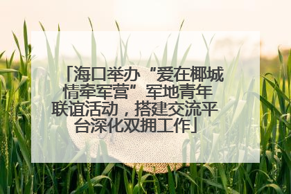 海口举办“爱在椰城 情牵军营”军地青年联谊活动，搭建交流平台深化双拥工作