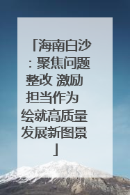 海南白沙：聚焦问题整改 激励担当作为 绘就高质量发展新图景