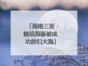 海南三亚：糙齿海豚被成功放归大海