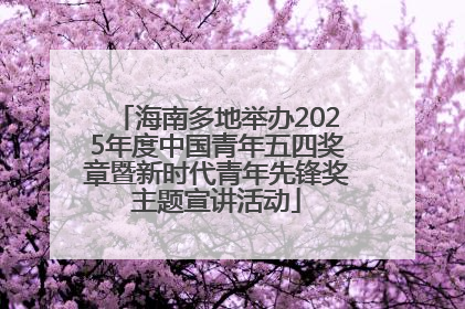 海南多地举办2025年度中国青年五四奖章暨新时代青年先锋奖主题宣讲活动