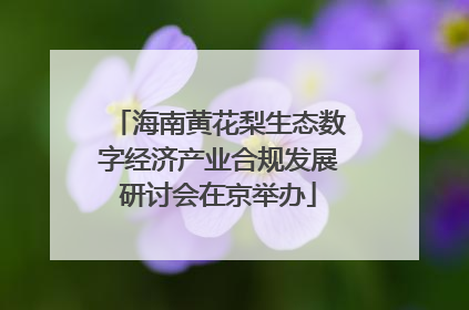 海南黄花梨生态数字经济产业合规发展研讨会在京举办