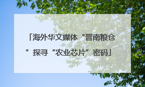 海外华文媒体“晋南粮仓”探寻“农业芯片”密码