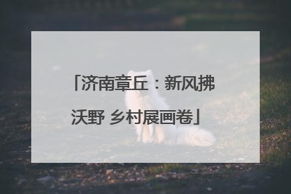 济南章丘：新风拂沃野 乡村展画卷