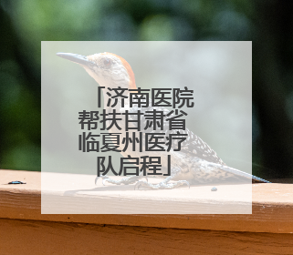济南医院帮扶甘肃省临夏州医疗队启程