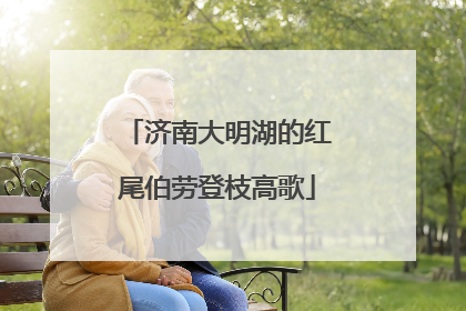济南大明湖的红尾伯劳登枝高歌