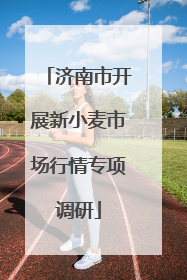 济南市开展新小麦市场行情专项调研
