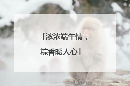 浓浓端午情，粽香暖人心
