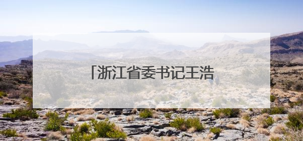 浙江省委书记王浩：对顶风违纪行为从严从重从快处理