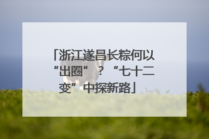 浙江遂昌长粽何以“出圈”？“七十二变”中探新路