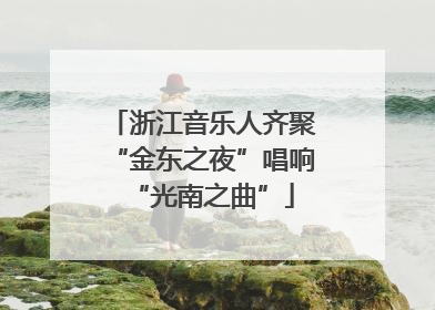 浙江音乐人齐聚“金东之夜”唱响“光南之曲”
