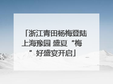 浙江青田杨梅登陆上海豫园 盛夏“梅”好盛宴开启