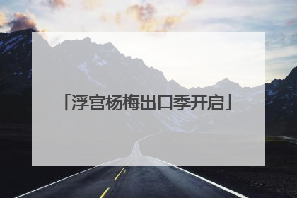 浮宫杨梅出口季开启