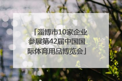 淄博市10家企业参展第42届中国国际体育用品博览会