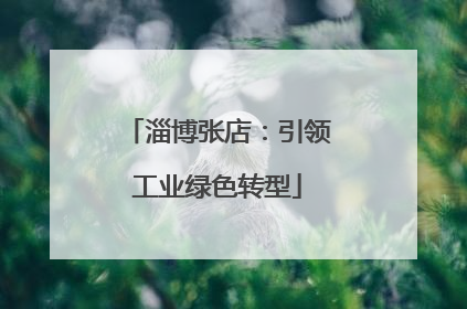 淄博张店：引领工业绿色转型