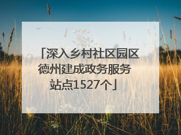 深入乡村社区园区 德州建成政务服务站点1527个