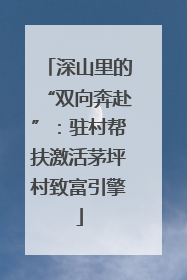 深山里的“双向奔赴”：驻村帮扶激活茅坪村致富引擎