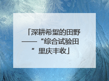 深耕希望的田野——“综合试验田”里庆丰收