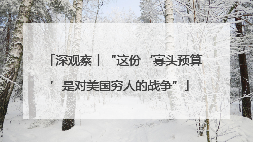 深观察丨“这份‘寡头预算’是对美国穷人的战争”