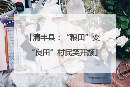 清丰县：“粮田”变“良田”村民笑开颜