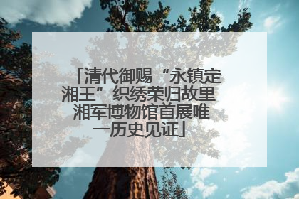 清代御赐“永镇定湘王”织绣荣归故里 湘军博物馆首展唯一历史见证