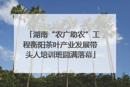 湖南“农广助农”工程衡阳茶叶产业发展带头人培训班圆满落幕