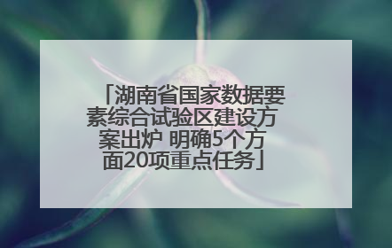 湖南省国家数据要素综合试验区建设方案出炉 明确5个方面20项重点任务