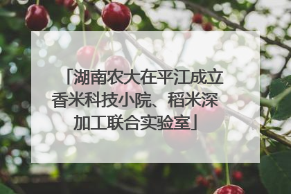 湖南农大在平江成立香米科技小院、稻米深加工联合实验室