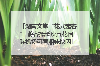 湖南文旅“花式宠客” 游客抵长沙黄花国际机场可看湘味快闪