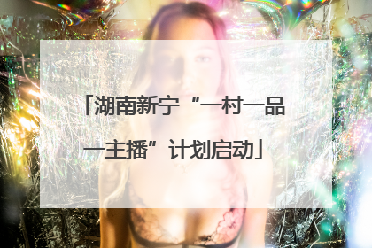湖南新宁“一村一品一主播”计划启动