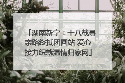 湖南新宁：十八载寻亲路终抵团圆站 爱心接力织就温情归家网