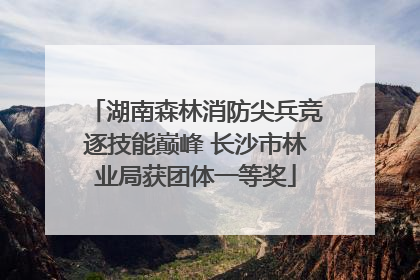 湖南森林消防尖兵竞逐技能巅峰 长沙市林业局获团体一等奖