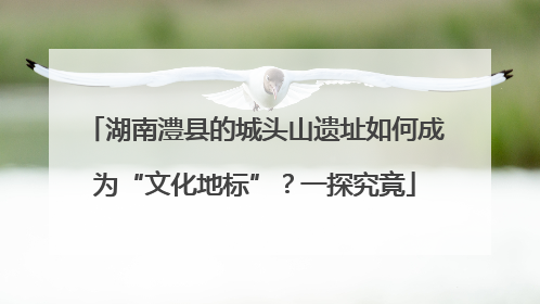 湖南澧县的城头山遗址如何成为“文化地标”？一探究竟