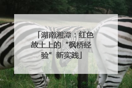 湖南湘潭：红色故土上的“枫桥经验”新实践