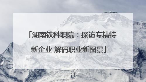 湖南铁科职院：探访专精特新企业 解码职业新图景