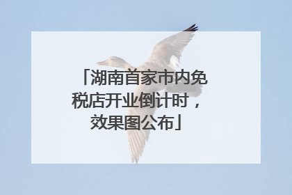 湖南首家市内免税店开业倒计时，效果图公布