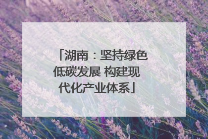 湖南：坚持绿色低碳发展 构建现代化产业体系