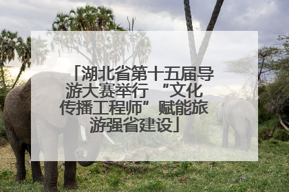 湖北省第十五届导游大赛举行 “文化传播工程师”赋能旅游强省建设