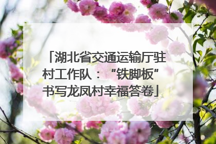 湖北省交通运输厅驻村工作队：“铁脚板”书写龙凤村幸福答卷