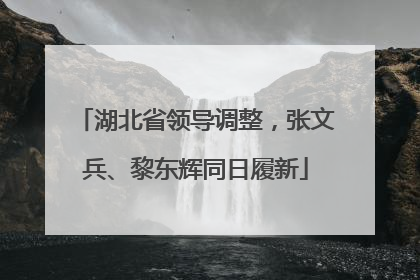 湖北省领导调整，张文兵、黎东辉同日履新