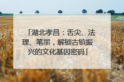 湖北孝昌：舌尖、法理、笔墨，解锁古镇振兴的文化基因密码