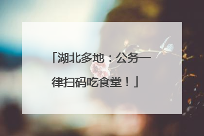 湖北多地：公务一律扫码吃食堂！