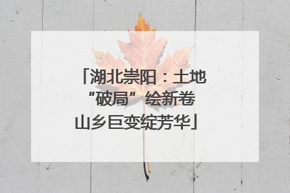 湖北崇阳：土地“破局”绘新卷 山乡巨变绽芳华