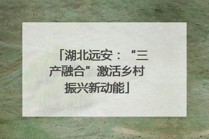 湖北远安：“三产融合”激活乡村振兴新动能